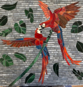 Wild Love: Scarlett Macaws