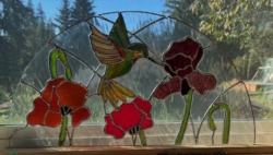 COPYRIGHT MARCY ANHOLT